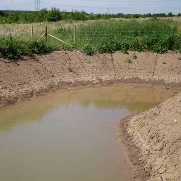 Ponds & Wetland Creation